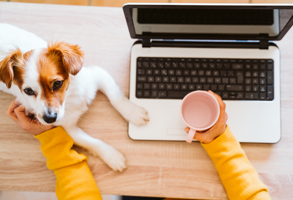 What You Need to Know About Debt Consolidation